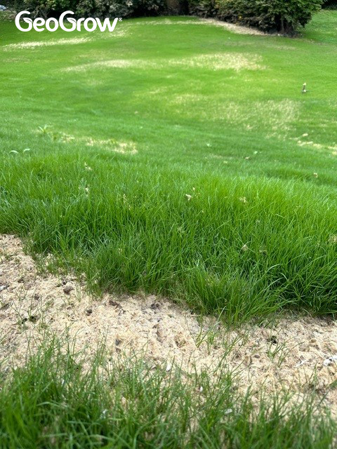 One of the advantages of Hydroseeding is rapid grass growth. 

In 3 weeks, you can already observe impressive germination that has taken place.

Our client has provided appropriate aftercare with regular watering, allowing the application to reach its full potential and flourish.