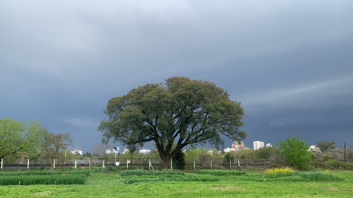 Curso

Ecological Data Management and Visualization

Dictado por  <a href="/lmhallett/">Lauren Hallett</a> 

Del 21 al 25 de octubre

En la <a href="/epg_fauba/">Escuela para Graduados “Ing. Agr. Alberto Soriano”</a> 

Con soporte de <a href="/FulbrightPrgrm/">The Fulbright Program</a> 

epg.agro.uba.ar/2024/09/19/eco…