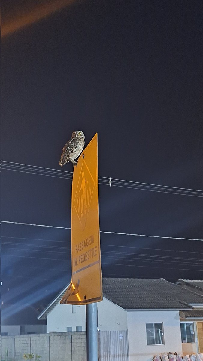 Marcus Vinícius (@mviniciusadm) on Twitter photo 