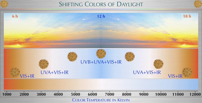 Image in tweet by Jack Schroder ☀️🧬