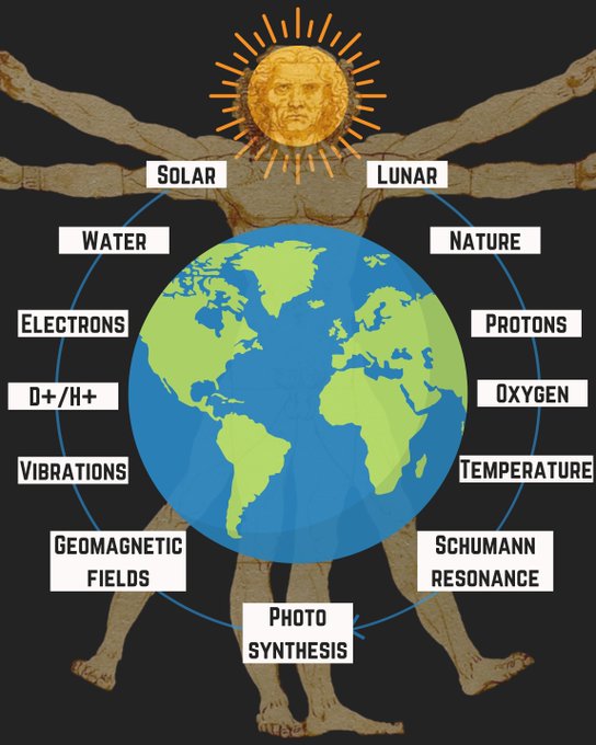 Image in tweet by Jack Schroder ☀️🧬