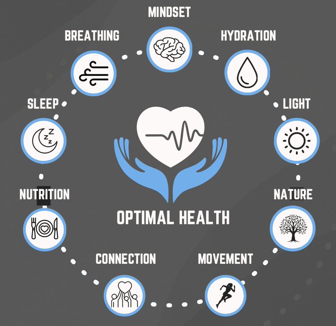Image in tweet by Jack Schroder ☀️🧬