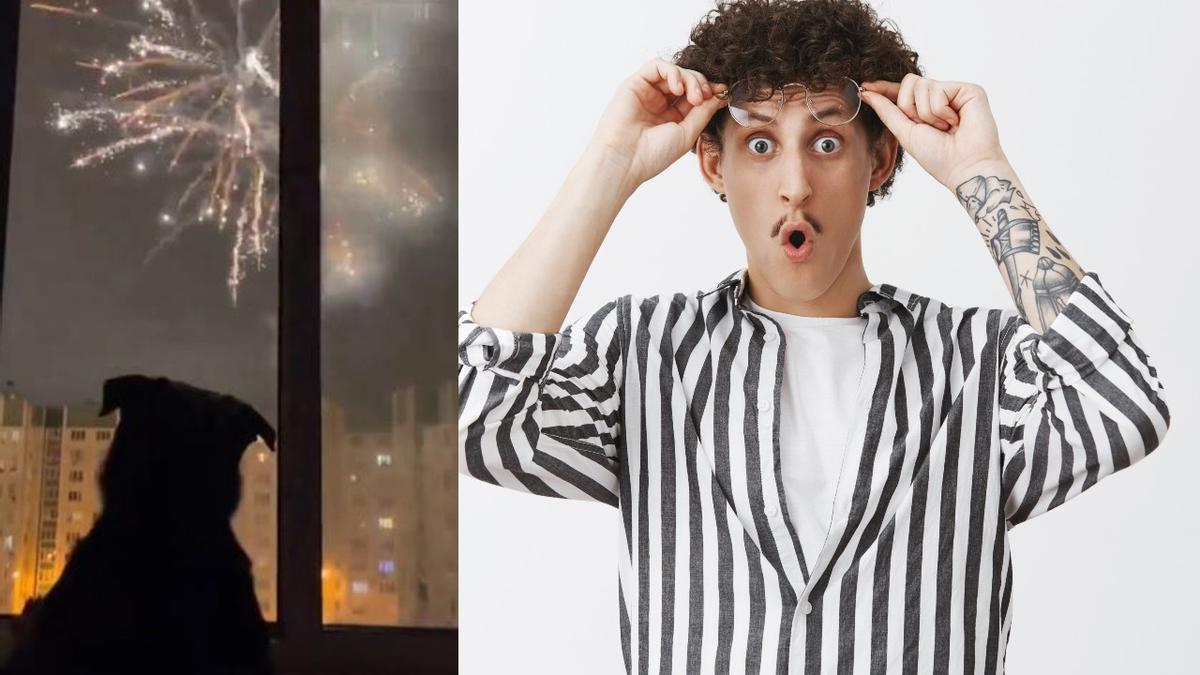 ¿Hay perros a los que les gustan los fuegos artificiales? dlvr.it/TDTJfX <a href="/tetirounpique/">tetirounpique</a>