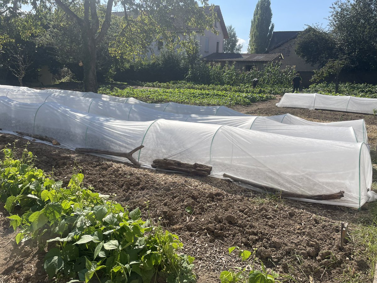 Orange soutient Vosges Ruralité Services dans sa mission d’insertion professionnelle et de développement durable, en faisant don d’une cuisine professionnelle ! 🍽️

Ce geste redonne vie aux équipements inutilisés et améliore les conditions de travail des maraîchers ! #RSE