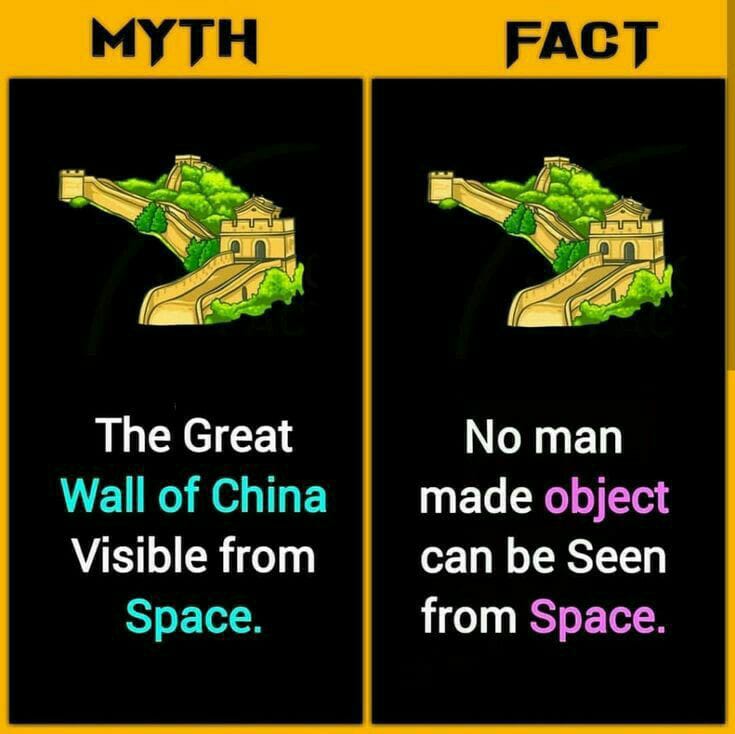 Myth Vs Fact (@mathvvsfact) on Twitter photo 