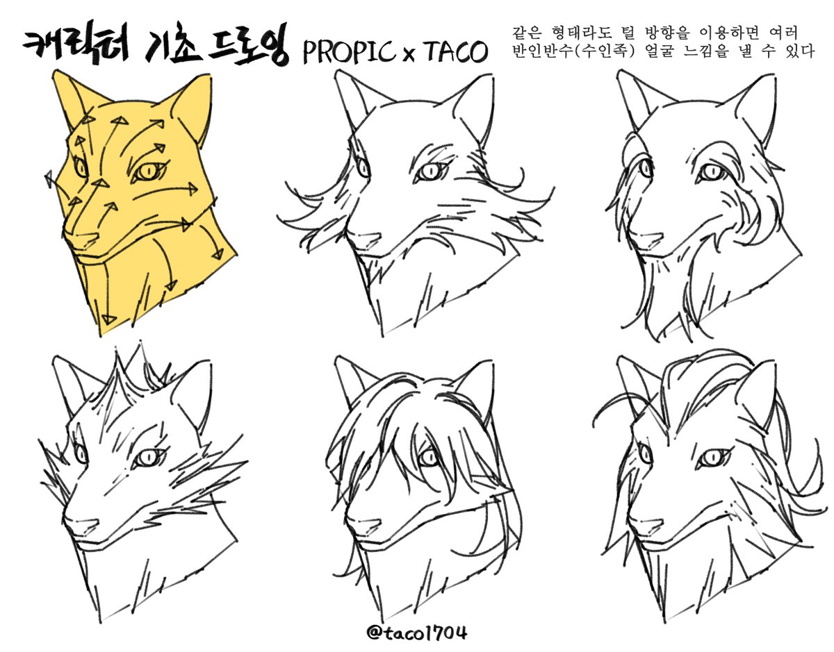 같은 형태라도 털 방향을 이용하면 여러 반인반수(수인족) 얼굴 느낌을 낼 수 있다 
同じ形でも毛の方向を利用すれば、複数のケモノの顔を感じることができる 