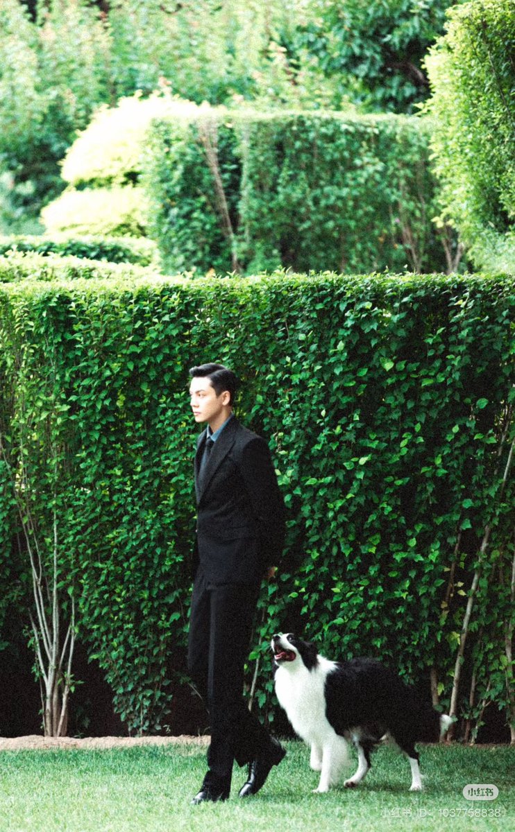 cdrama tweets tweet media