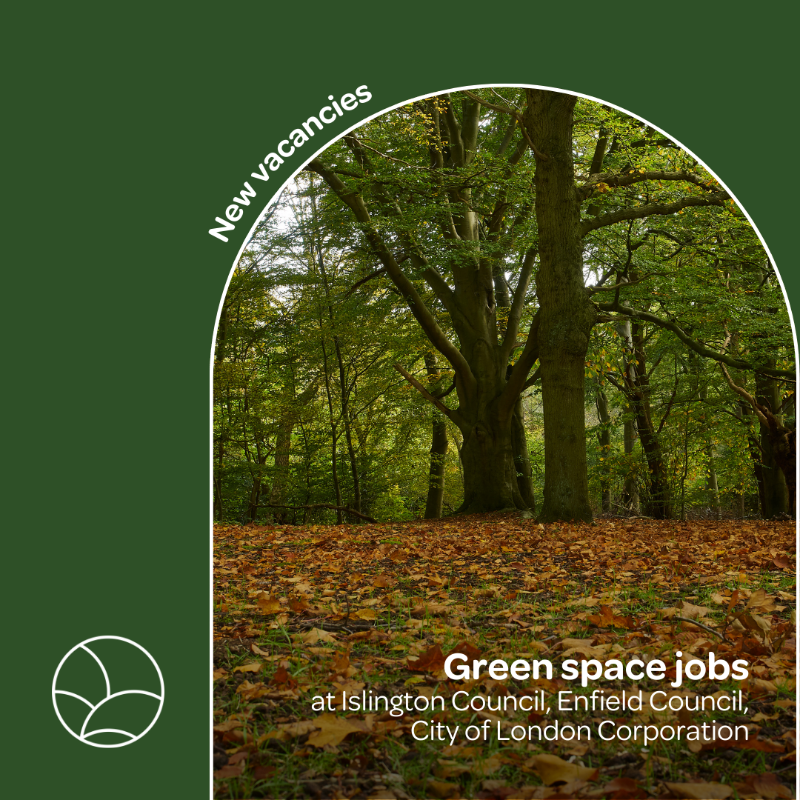 ParksforLondon's tweet photo. Want to work in London’s #greenspaces or help make them more sustainable? Check out these vacancies!

🌳@IslingtonBC: Grounds Supervisor
🌳@EnfieldCouncil: Corporate Director Climate and Environment
🌳@cityoflondon: Arborist (Epping Forest), Operative Rangers (Hampstead Heath)