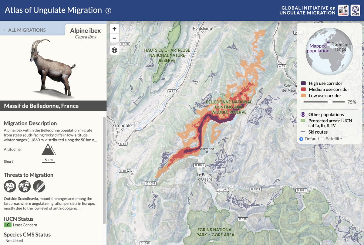 ConsEcol (@consecol) on Twitter photo Did you know the "#ungulate migration atlas" was just published? By tracking data on migrations, it serves as a repository for up-to-date migration maps that can inform #conservation planning ! <a href="/geobiodiversity/">Senckenberg Research</a> cms.int/en/gium/migrat… Did you know the "#ungulate migration atlas" was just published? By tracking data on migrations, it serves as a repository for up-to-date migration maps that can inform #conservation planning ! <a href="/geobiodiversity/">Senckenberg Research</a> cms.int/en/gium/migrat…