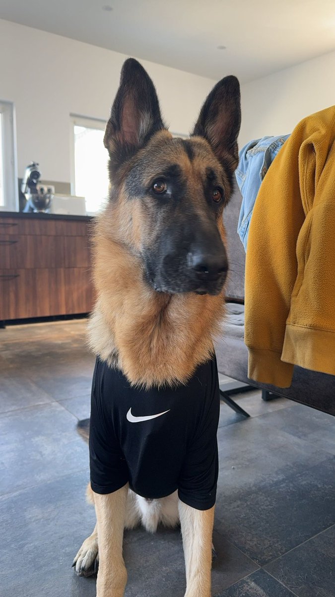 TabaryOne's tweet image. Nouvelle recrue Éros Mbappé