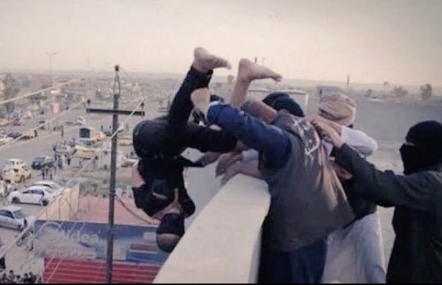 דבורה💚🌳💛🇮🇱 tweet media