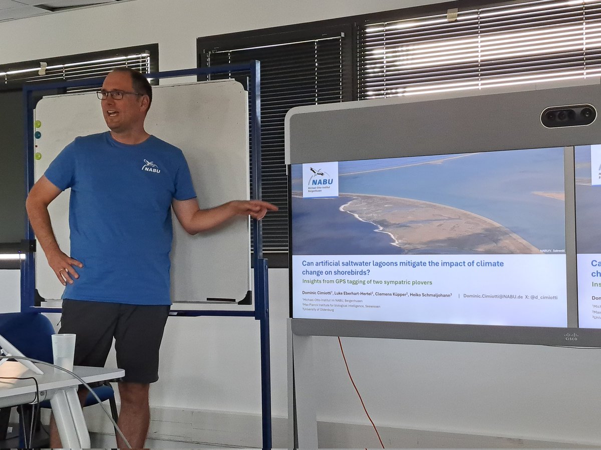 <a href="/d_cimiotti/">Dominic Cimiotti</a> postulates whether artificial saltwater lagoons can mitigate the impact of climate change on shorebirds, withs insights from GPS tagging of 2 plovers.
"Conservation of coastal-breeding plovers"  Workshop. <a href="/WaderStudy/">Wader Study</a> Conference #IWSG2024 in Montpellier #IWSG_conf