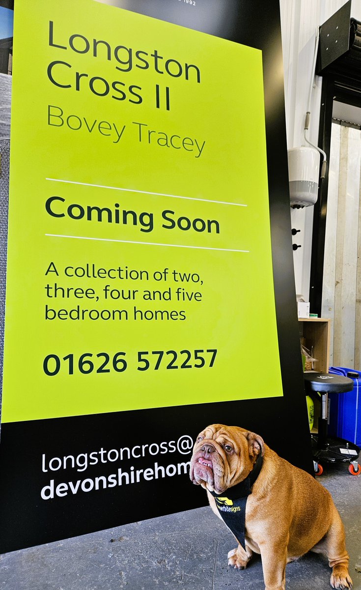 kenwhitesigns's tweet image. Smile, please!😁This week Kobe's showing off his best grin next to new advertising signage for Devonshire Homes' latest housing development.🐾Have a #PawsomeFridayWithKobe! 
bit.ly/KWSConstruction 
#ConstructionSigns #Construction #Signs #Signage #SignageCompany #Housing