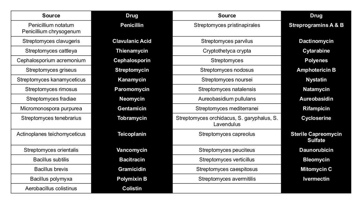 ethylaine ᵕ̈ tweet media