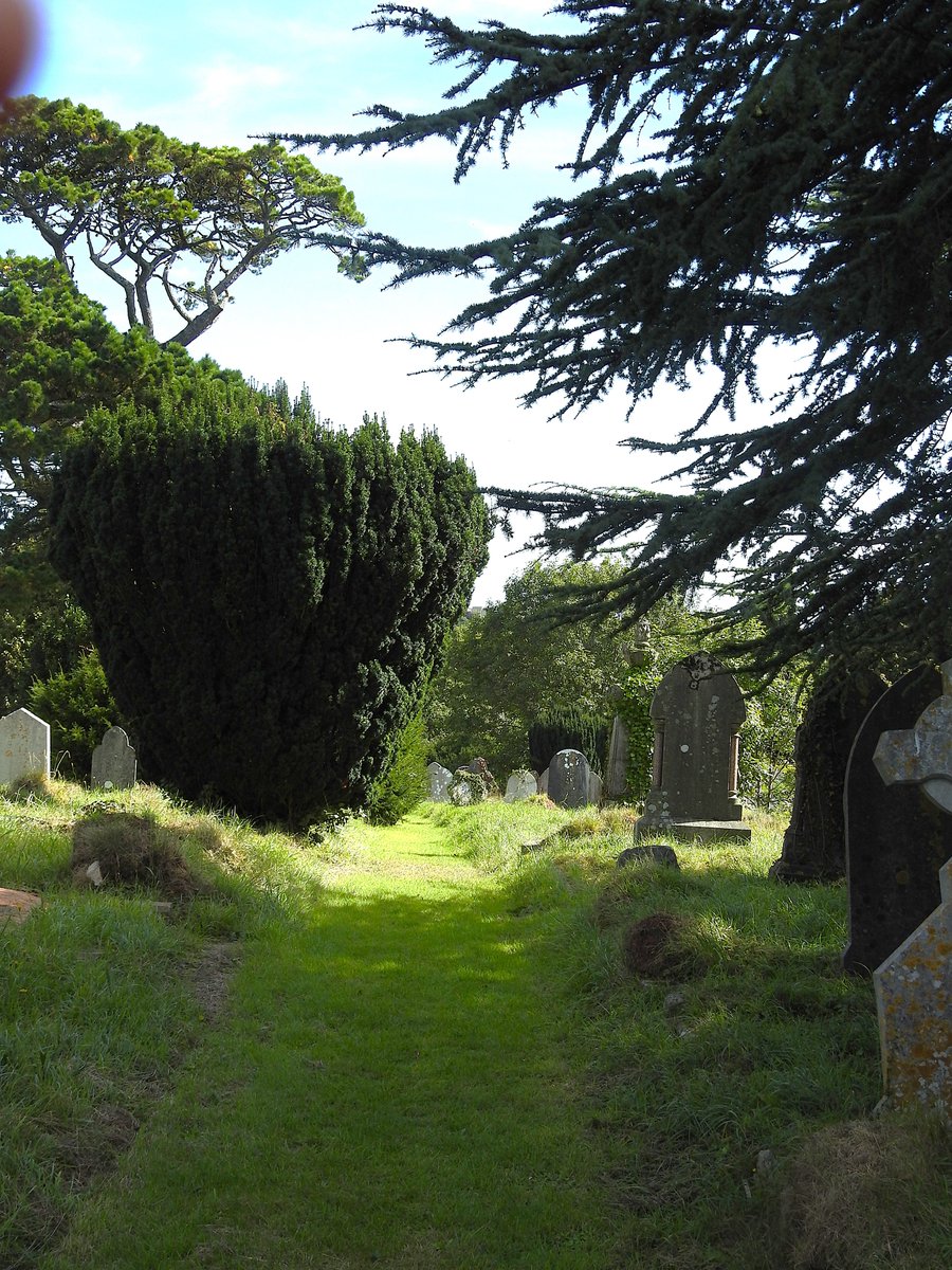 Friends of Teignmouth Cemetery tweet media