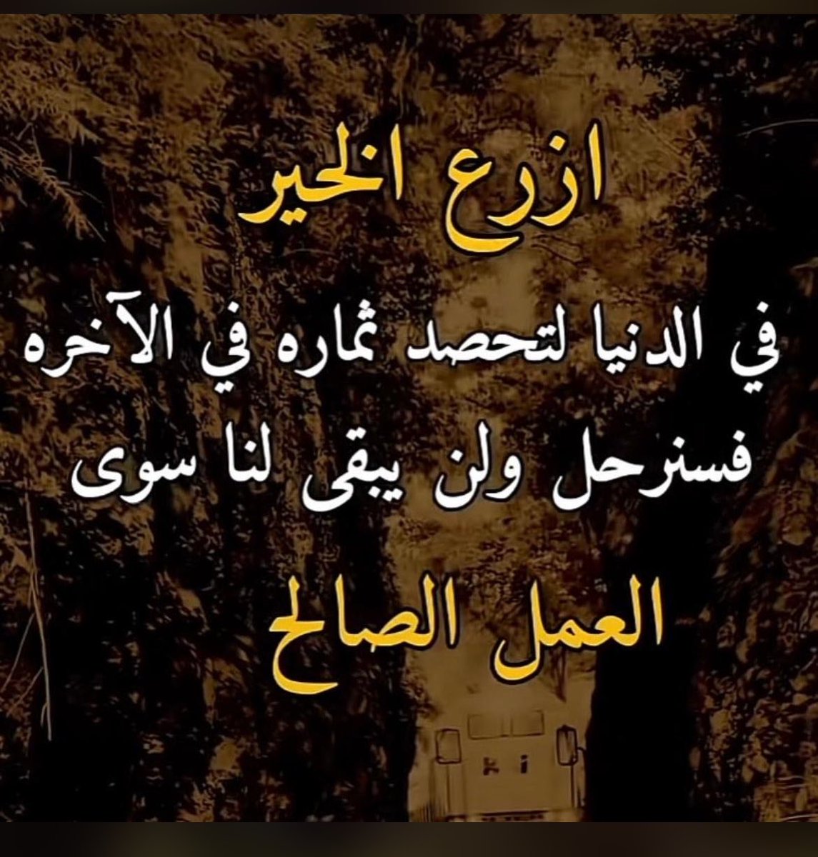 سعد بداح الجلاسي (@saadbedah) on Twitter photo 