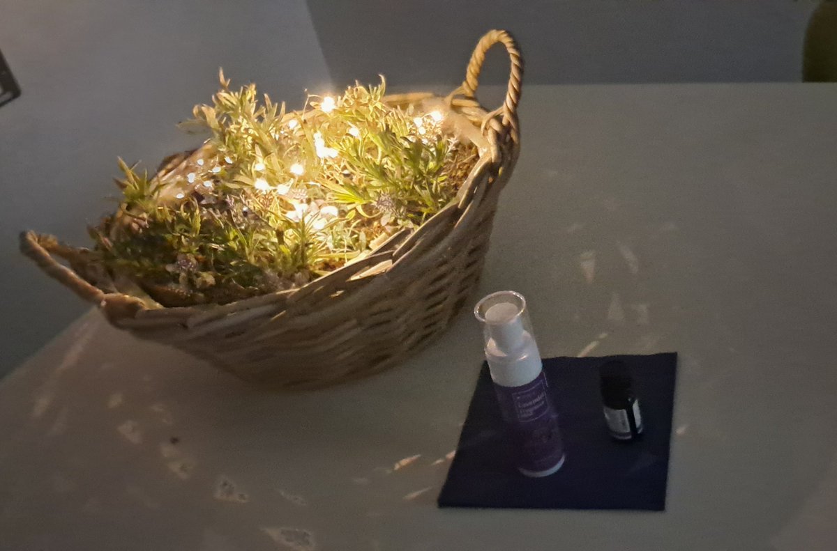 ANGELA DYNES tweet media