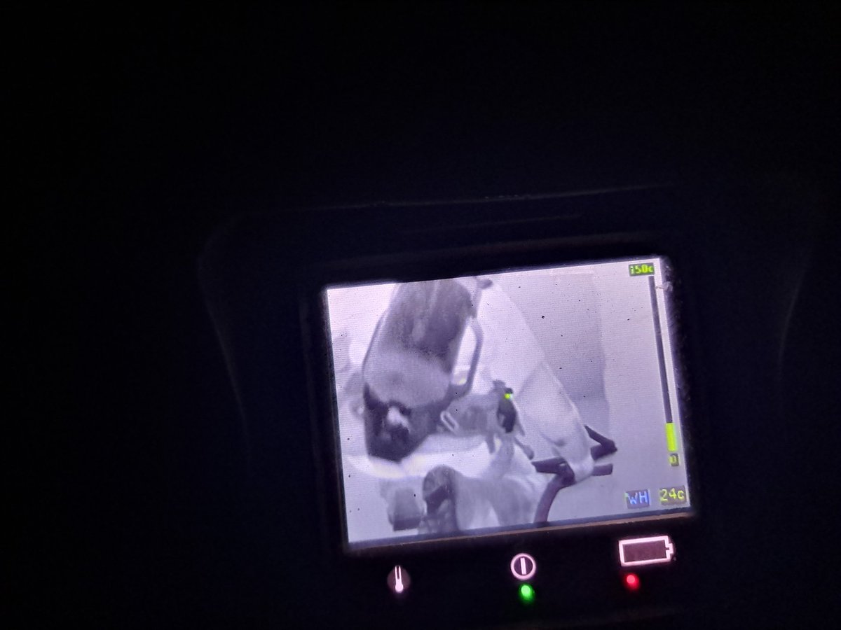 Cfindlay tweet media