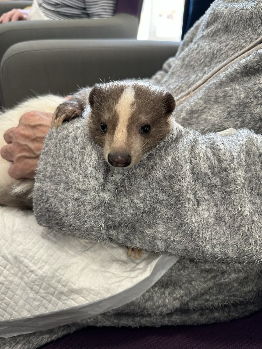 Gemma swallow tweet media