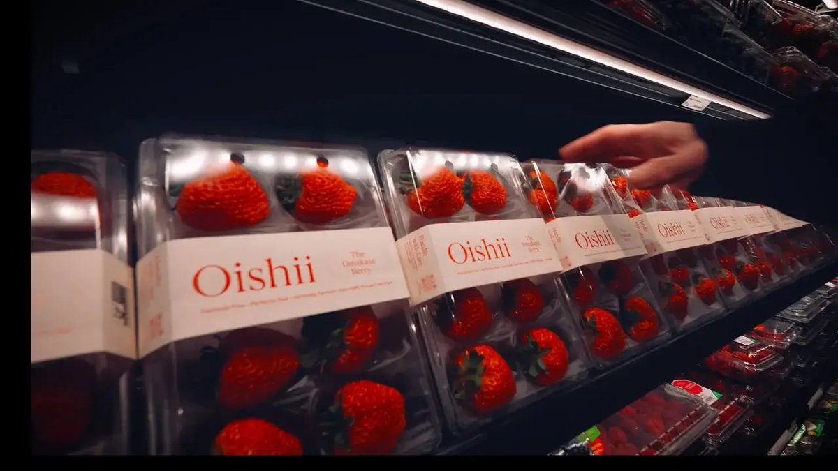 The American Agriculture Industry is Making (a Little) Room for Luxury Fruit dlvr.it/TDT7BL