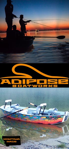 The Farquhar Bird Fly dlvr.it/TDT79H