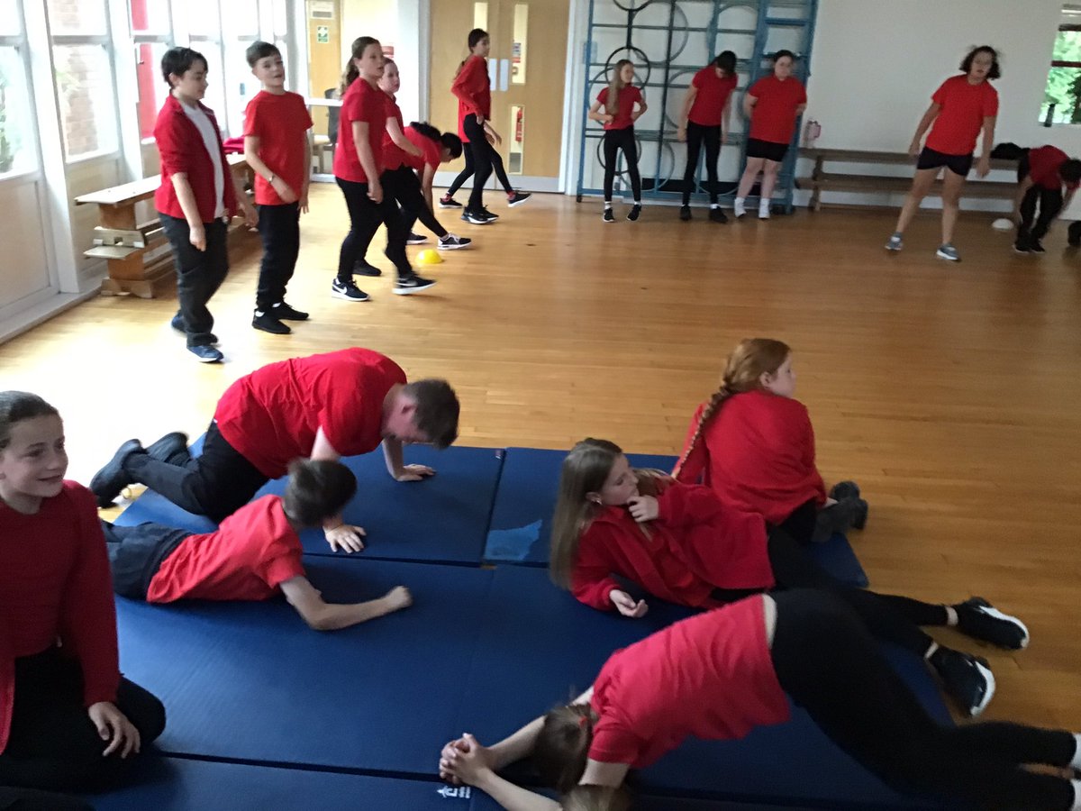 Captain Cook Primary tweet media