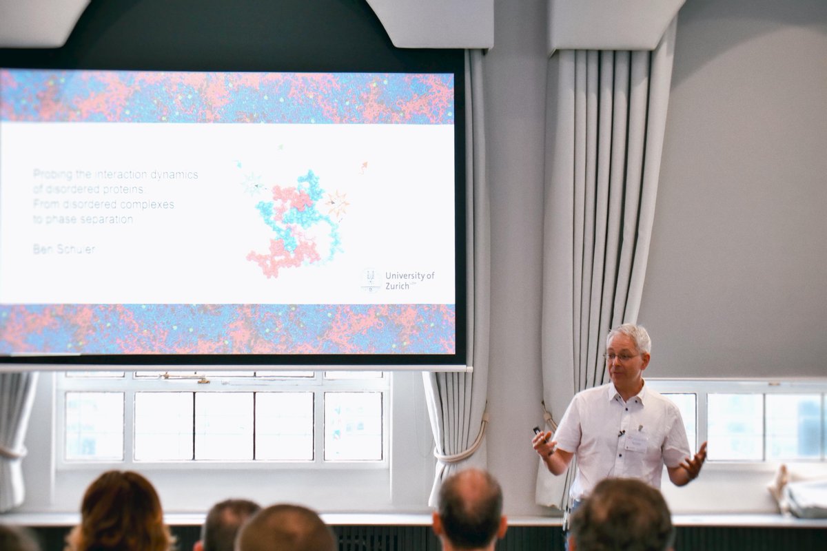 Ben Schuler presents a fantastic talk studying IDPS combining a variety of tools including NMR, single molecule spectroscopy and simulations <a href="/UZH_ch/">Universität Zürich</a> #IDPS #structuralbiology