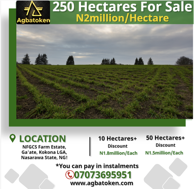 RetsonTedheke01's tweet photo. #Agbatoken: You Need Land for,
1. Commercial Agriculture?
2. Poultry Farming Both Local & Hybrid?
3. Grapevine Orchard Farming?
4. Palm/Cashew/Orange/Mango Plantation?
5. Real Estate, Schools, Lounge?
6. Agro Tourism etc
We Sell & To Buy, Reach us at 07073695951 & on WhatsApp! https://t.co/A5cXJvyAxE