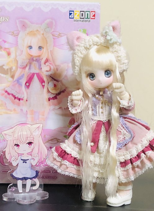 ショコラーラお迎えしてきた!かわいい 