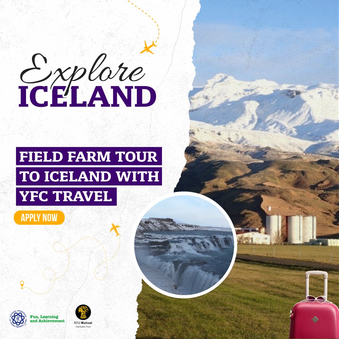 YFC members can travel to Iceland with Field Farm Tours on a YFC Travel trip.  
It will be an unforgettable adventure to the "Land of Ice and Fire" in Oct 2025. ❄️
Find out more 👉 nfyfc.org.uk/iceland-yfc-gr… 

#YFCisforEveryone