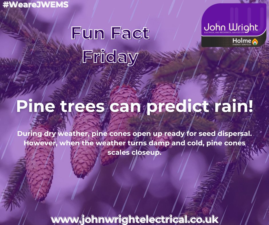 Fun Fact Friday time!
In the heart of a pine forest, your friend is the humble pinecone. The pinecone of a pine tree is one of nature's most reliable weather predictors. These fascinating structures change shape based on the surrounding moisture levels
#Funfacts  #WeareJWEMS
