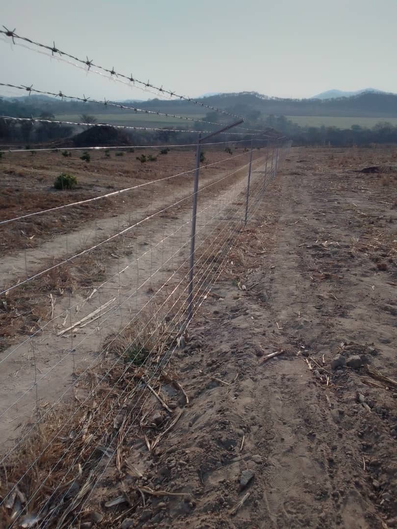 MusikaExpress's tweet image. This Could Be You at ZERO DEPOSIT 

Perimeter: 500 
Height: 1.8 m with Overhang 
Type: Field Fence
Location: Matepatepa, Bindura 

ZERO DEPOSIT
UP TO $2000 CREDIT
UP TO 6 MONTHS TO PAY

Line 1: 0719454686
Line 2: 0719454687