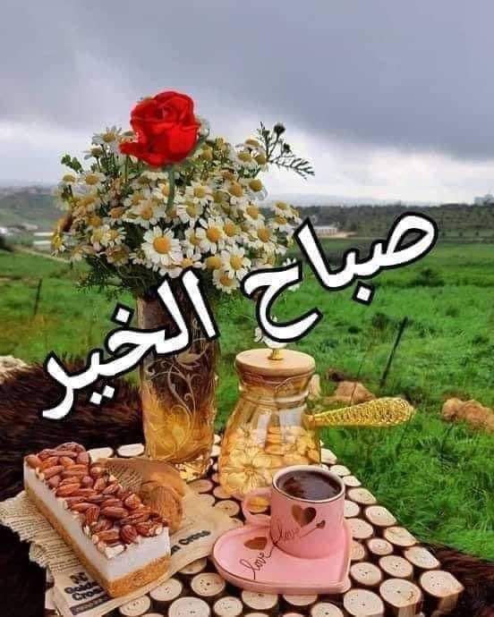 حبايب قلبي مين فاضي