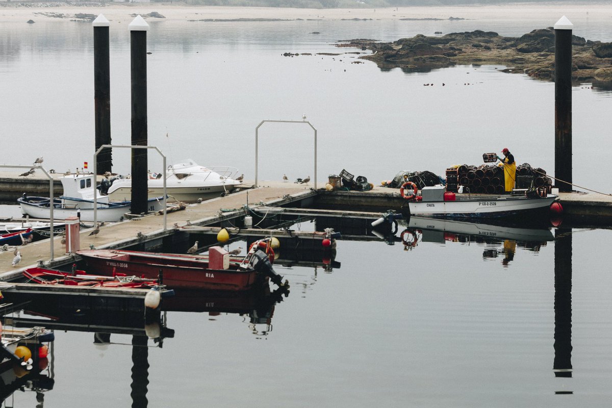 Naseiro de Palmeira, Sept ‘24