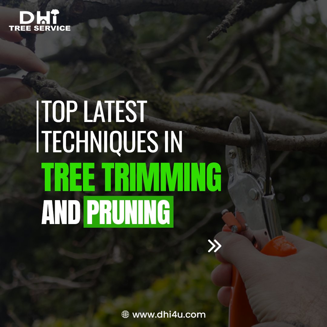 dhi4u_'s tweet image. 🌳 Elevate your landscape with the latest tree trimming techniques! Enhance health, shape, and beauty today.
--
--
Visit us-dhi4u.com
.
.
.
.
#dhi4u #treecareprofessionals #pruningtips #TreeTrimming #landscapingservices #HealthyTrees #CrownReduction #DeadwoodRemoval