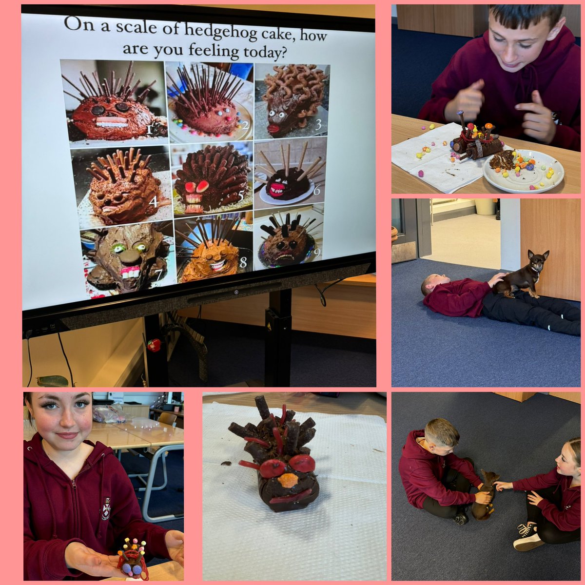 Cake &amp; a visit from Polly 🐶. 

Afternoons <a href="/AlloaAcademy/">Alloa Academy</a> don’t get much better than this. 🩷

#nurture #therapet