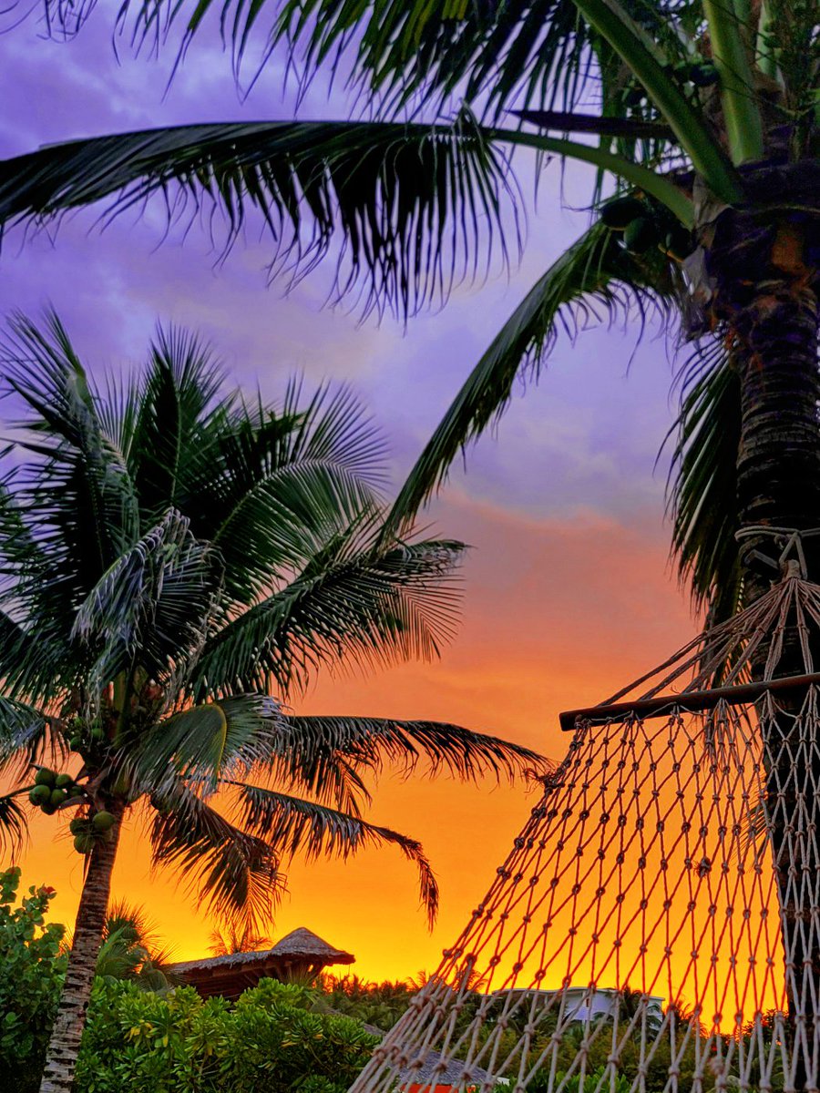 🌴⛱️🥥
그리고 네나 수하물에 함께 따라 간 김디어