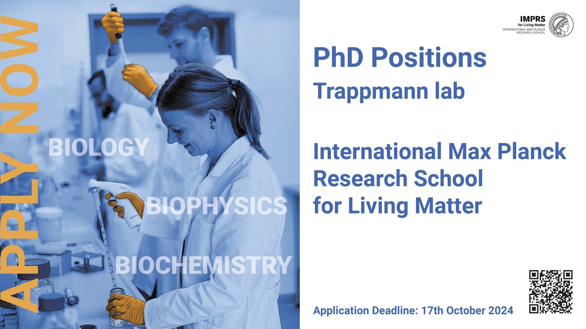 IMPRS for Living Matter (@imprs_lm) on Twitter photo Interested in combining cell biology with material chemistry? <a href="/IMPRS_LM/">IMPRS for Living Matter</a> the <a href="/BTrappmann/">Britta Trappmann</a> lab develops 3D biomimetic models to understand how interactions between cancer cells and their surrounding microenvironment regulate migration and metastasis. APPLY! #PhDposition #IMPRS Interested in combining cell biology with material chemistry? <a href="/IMPRS_LM/">IMPRS for Living Matter</a> the <a href="/BTrappmann/">Britta Trappmann</a> lab develops 3D biomimetic models to understand how interactions between cancer cells and their surrounding microenvironment regulate migration and metastasis. APPLY! #PhDposition #IMPRS