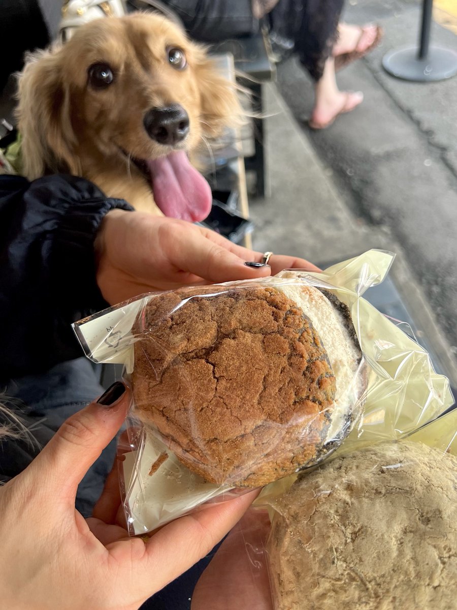 BADVILLAIN tweet media