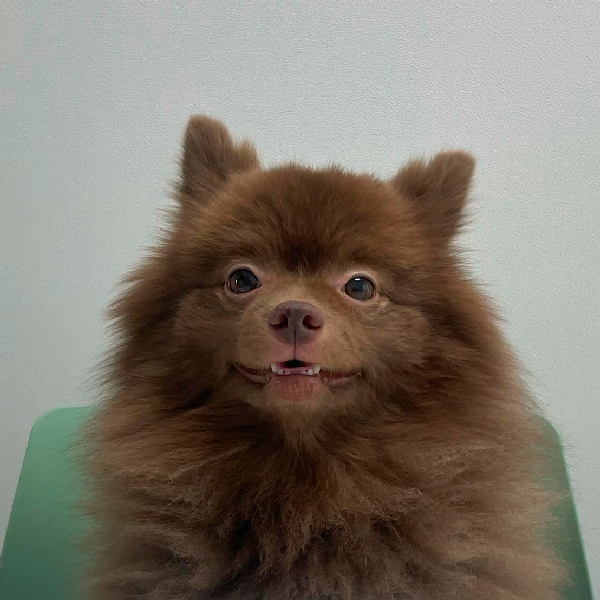 moongonsol's tweet photo. 박뭉 $MOONG

https://t.co/gIyLFqfKsD

CssGYDb349drDo4bZvVpGdRuaowrx9btNugSpvMTpump

https://t.co/Hmld46k1jU
https://t.co/SM4wQeDcJ5
https://t.co/PL4uvgFFnW https://t.co/1VuNsFE2nP