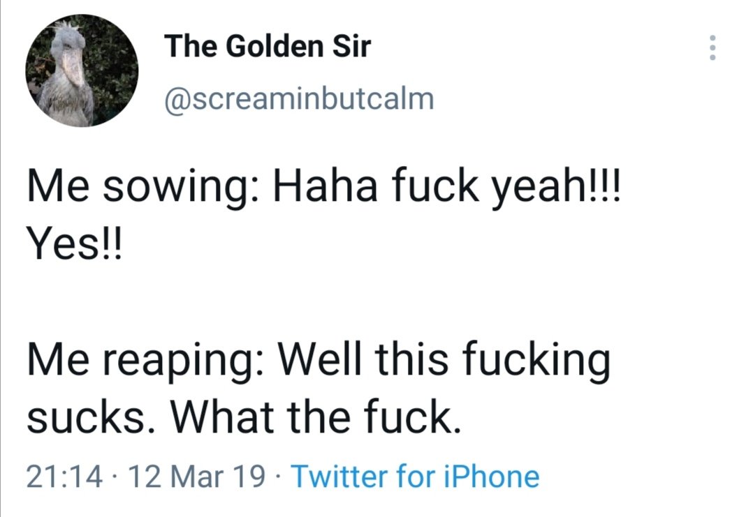 Austin Zaff tweet media