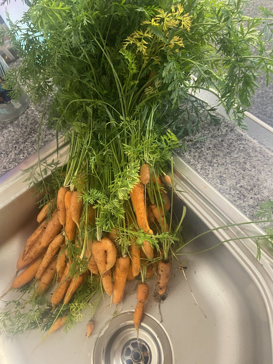 Emley First School tweet media