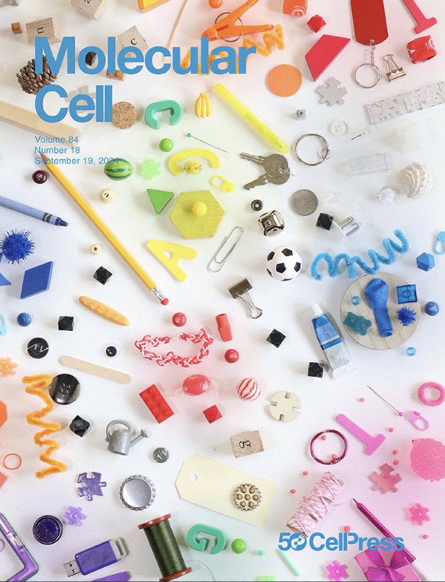 Ben Sabari (@bsabari) on Twitter photo Excited to share that our paper cell.com/molecular-cell… got the cover of the new issue of <a href="/MolecularCell/">Molecular Cell</a>. Extra cool that this is a photograph taken by the first author <a href="/Nancybrillet/">Nancy De La Cruz</a>, a super-star research assistant and post-bacc who just started grad school <a href="/UTSWGradSchool/">UTSW Graduate School of Biomedical Sciences</a> Excited to share that our paper cell.com/molecular-cell… got the cover of the new issue of <a href="/MolecularCell/">Molecular Cell</a>. Extra cool that this is a photograph taken by the first author <a href="/Nancybrillet/">Nancy De La Cruz</a>, a super-star research assistant and post-bacc who just started grad school <a href="/UTSWGradSchool/">UTSW Graduate School of Biomedical Sciences</a>