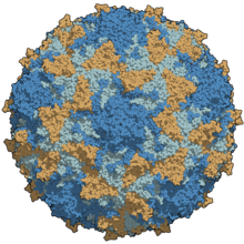 Urgent Health Alert: Poliovirus Detected in Eastern Ghana – Immediate Action Required - mailchi.mp/c4f880e2543b/u…