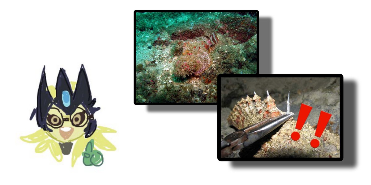 ✓

ㅤ☝️🐟 

ㅤ❛¡Pez piedra! Con un camuflaje increíble y una paciencia sin igual, estos peces esperan a sus víctimas sin desesperación, sin embargo, poseen un veneno muy potente: un sedante capaz de dejar paralizado a casi cualquier ser vivo en segundos. ¡Cuidado con su pua!❜