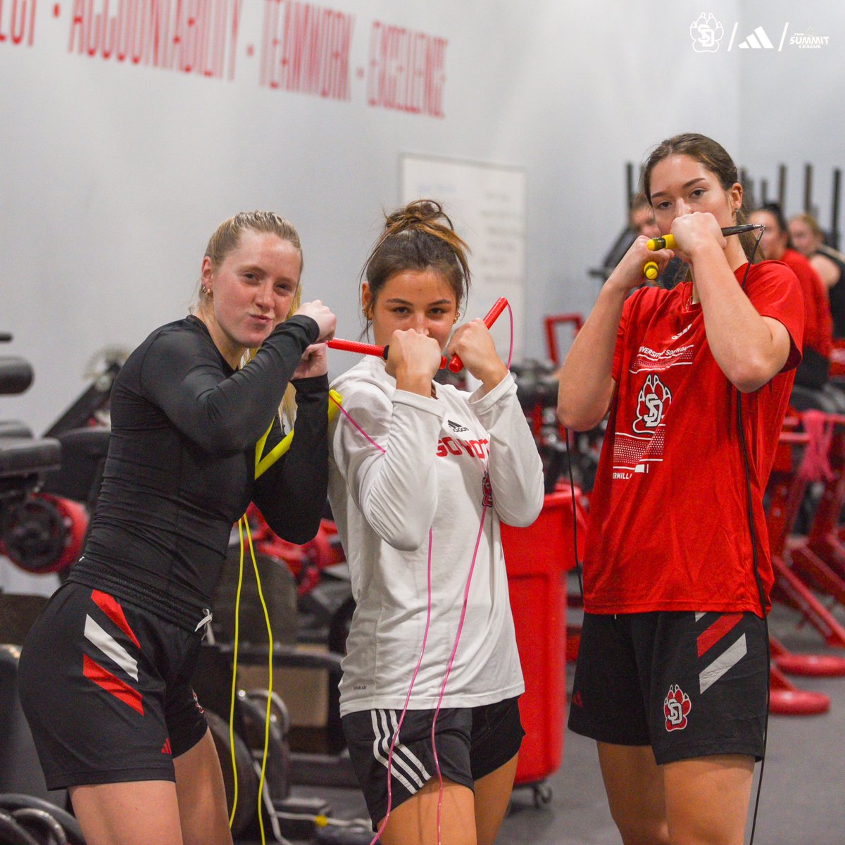 South Dakota Women’s Basketball tweet media