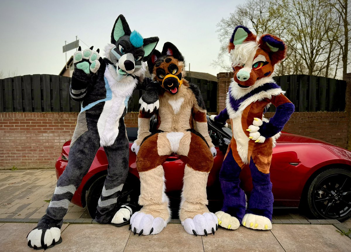 DorokiDarogan (Dexx) (@dorokidarogan) on Twitter photo Car? Nah… seat :3
🐶 <a href="/HakneeShep/">H a k n e e D a w g</a>
🐕 <a href="/volgeblaft/">• 𝔸 𝕍 𝕀 •</a>
📸 <a href="/HazardtheDragon/">Hazard the Dragon</a>
#FursuitFriday Car? Nah… seat :3
🐶 <a href="/HakneeShep/">H a k n e e D a w g</a>
🐕 <a href="/volgeblaft/">• 𝔸 𝕍 𝕀 •</a>
📸 <a href="/HazardtheDragon/">Hazard the Dragon</a>
#FursuitFriday