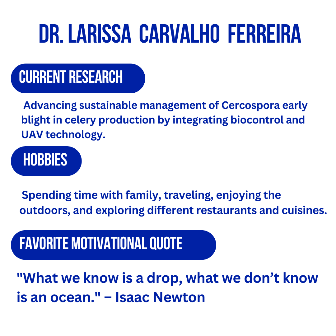 UF IFAS Everglades REC - Belle Glade tweet media