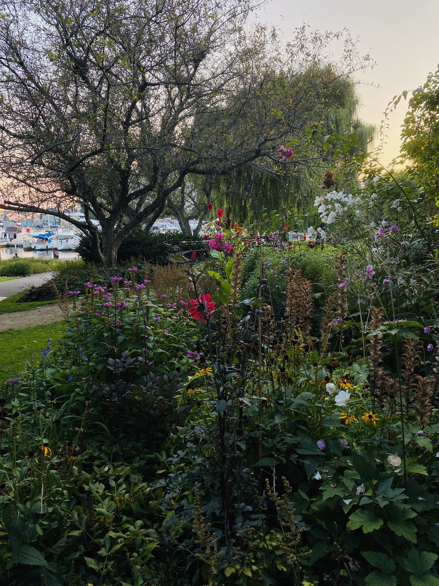 fungiviking's tweet image. #toronto #harbourfront #canadamaltingco