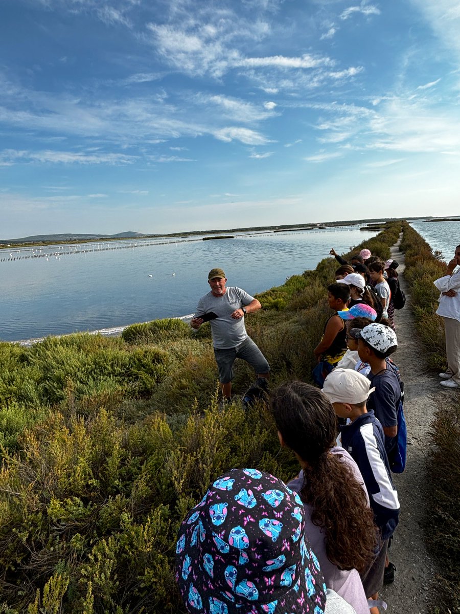 À <a href="/VilleFrontignan/">VilleFrontignanOfficiel</a> 
À l’occasion des #JEP2024
Les élèves (re)découvrent leur patrimoine de proximité: les #Salins
pour comprendre comment et pourquoi la main de l’homme a façonné nos paysages du littoral.